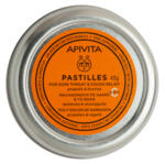 APIVITA pasztilla desgykr-nizs 45g