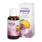 Grapefruit csepp echinacival DR.CHEN 30ml